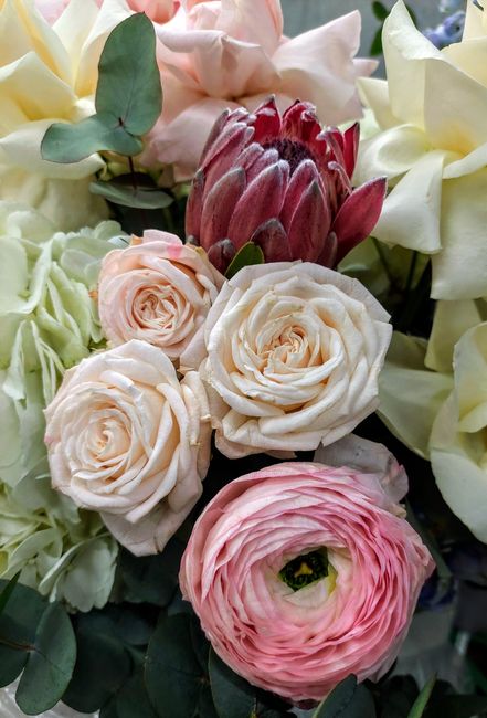 A close-up arrangement of fresh flowers featuring soft pink and creamy white roses, a pink ranunculus, and a deep red protea, interspersed with green eucalyptus leaves. The flowers are tightly cluster